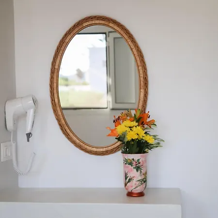 Apartamento Olive Garden House *